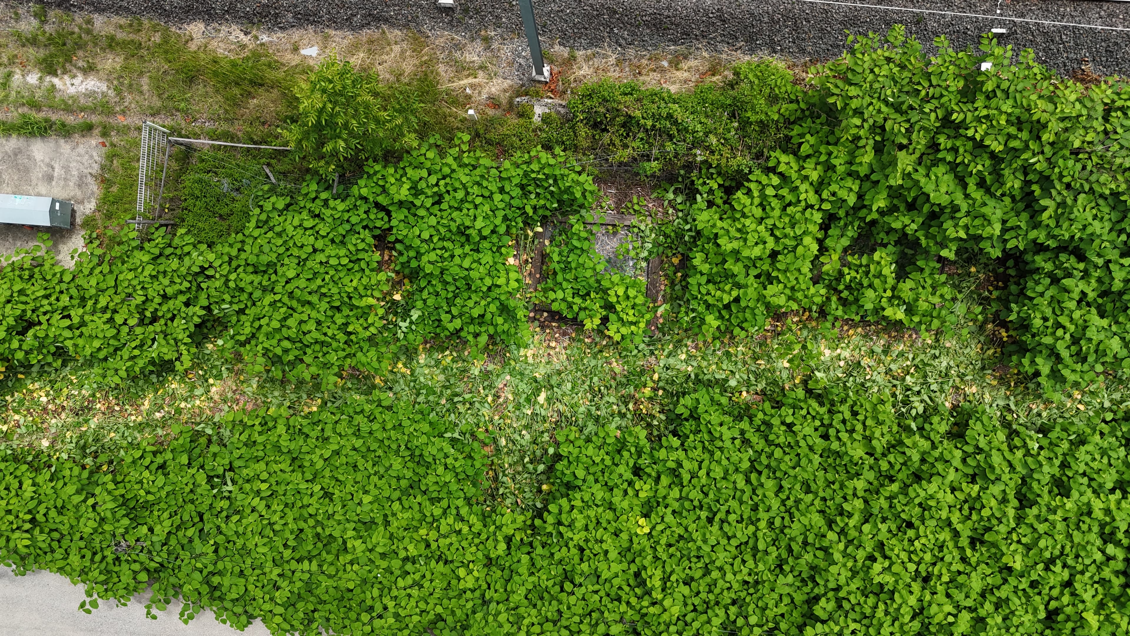 Vue drone — Parcelle test grillage